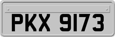 PKX9173