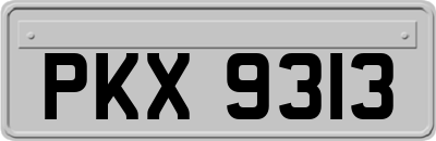 PKX9313