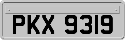 PKX9319