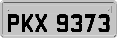 PKX9373