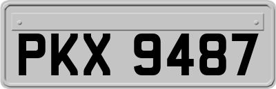 PKX9487