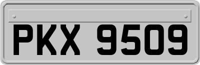 PKX9509