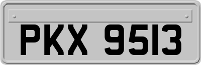 PKX9513