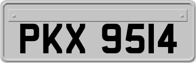 PKX9514
