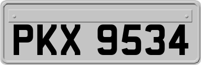PKX9534