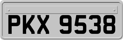 PKX9538