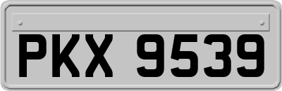 PKX9539