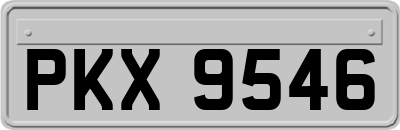 PKX9546