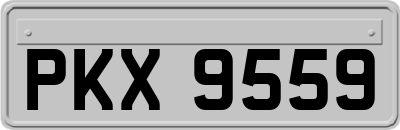 PKX9559