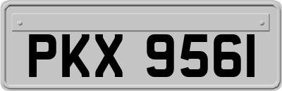 PKX9561