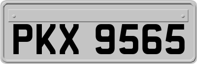 PKX9565
