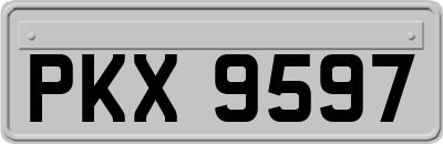 PKX9597