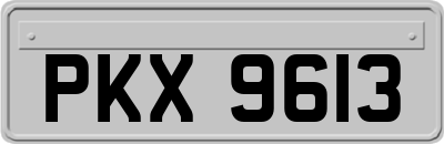PKX9613