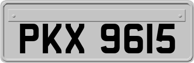 PKX9615