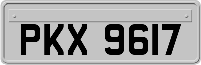 PKX9617