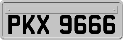 PKX9666