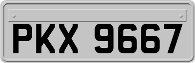 PKX9667