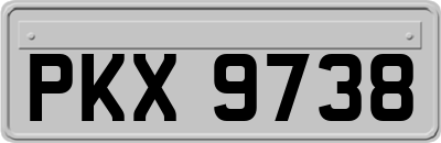 PKX9738