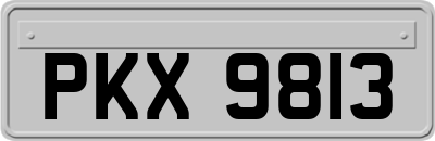 PKX9813