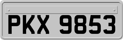 PKX9853