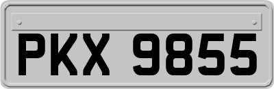 PKX9855