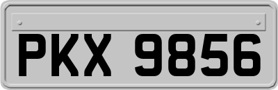 PKX9856