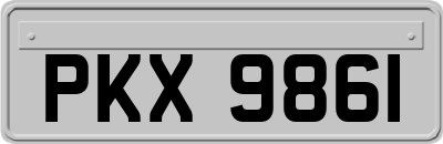 PKX9861