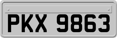 PKX9863