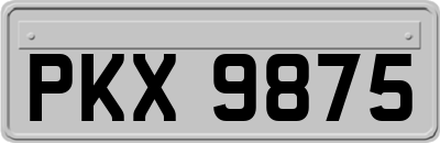 PKX9875
