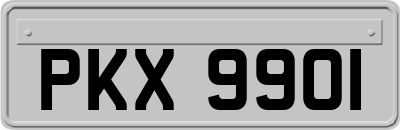 PKX9901