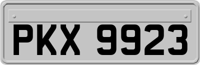 PKX9923