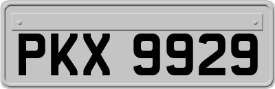 PKX9929