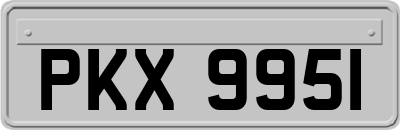 PKX9951