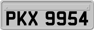 PKX9954