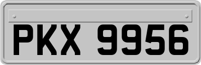 PKX9956