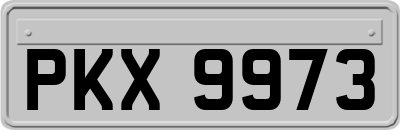 PKX9973
