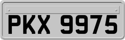 PKX9975