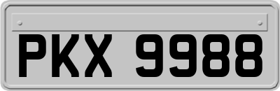 PKX9988