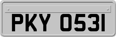 PKY0531