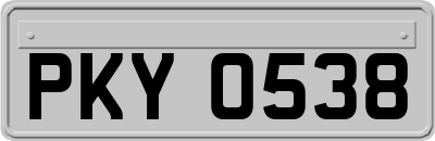 PKY0538