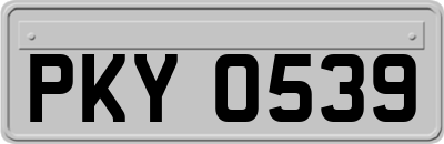 PKY0539
