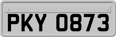 PKY0873