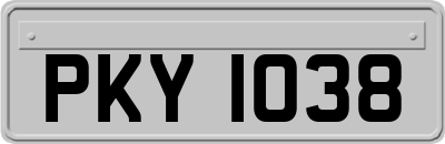 PKY1038
