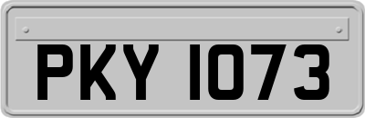 PKY1073