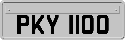 PKY1100