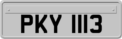 PKY1113