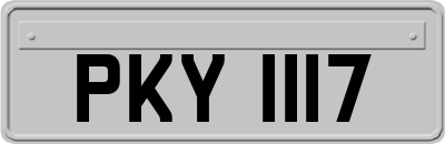 PKY1117
