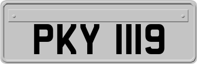 PKY1119
