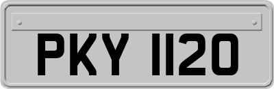 PKY1120