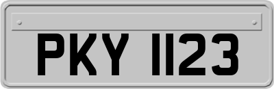 PKY1123